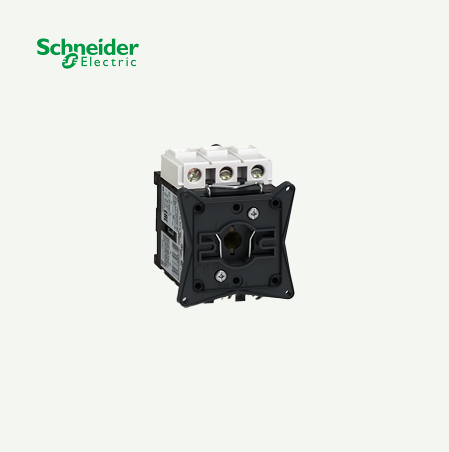 [슈나이더]  V4 BODY 3P 80A